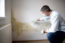 Trusted Pinecrest, FL Mold Removal & Remediation Experts